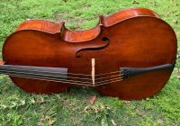 Violin Care – How to Care For Your Violin and Keep It in Top Shape